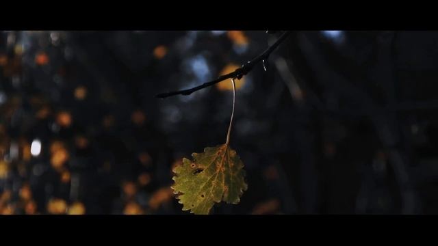 CANON 1200D CINEMATIC VIDEO CANON 1200D CAMERA TEST VIDEO CANON 1200D VIDEOGRAPHY смотреть онлайн