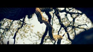 Canon 600D+Jupiter-9 85mm f/2 test