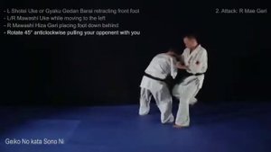 Ката зелёный пояс