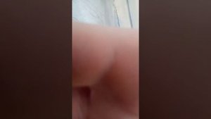 Дрочу КОШКЕ зажигалкой. Джесса поехала в Анапу на низком старте.