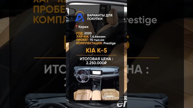 VID-20231204-WA0076.mp4 смотреть онлайн