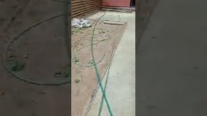 Заливка дорожек дренажным бетоном