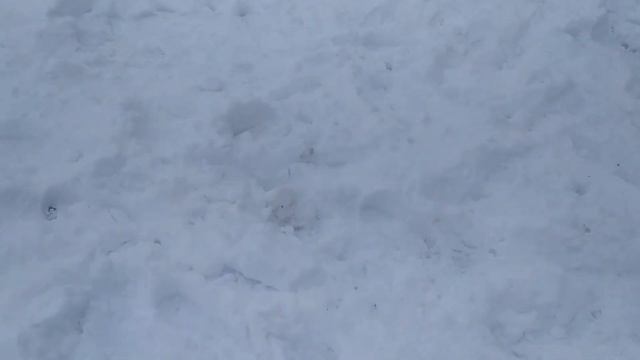 рыбалка на устье рек Ирень , Сылва и Шаква смотреть онлайн