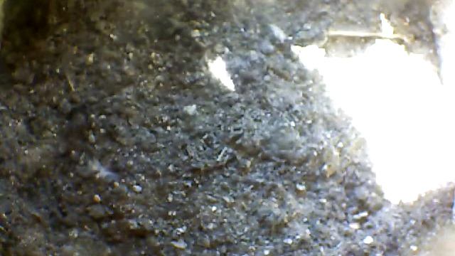 From Internet Camera(Turmfalken[03:1A:A5])2014/07/16,17:41:51_D смотреть онлайн