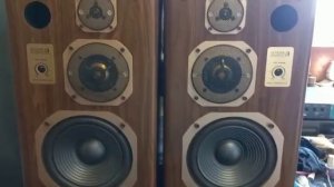 Акустическая система Coral DX-3