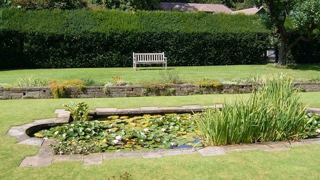 Что лучше: рулонный газон или посевной? смотреть онлайн