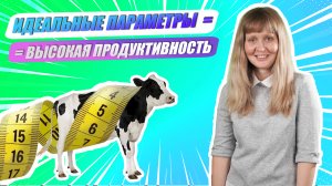 «Ну-ка, наука!» | Ирина Баранова о способах изучения экстерьерных особенностей коров