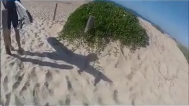 Surfin Birdy смотреть онлайн