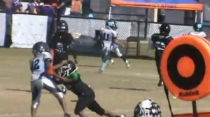 Alvin Gibson 2013 touchdown highlights