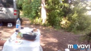 Ловля толстолоба в Чутово Май 2019