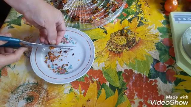 Имеретинский шафран...специя... смотреть онлайн