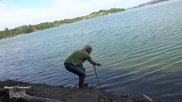 ЩУКА.СУДАК С БЕРЕГА НА ЖИВЦА.2022.....