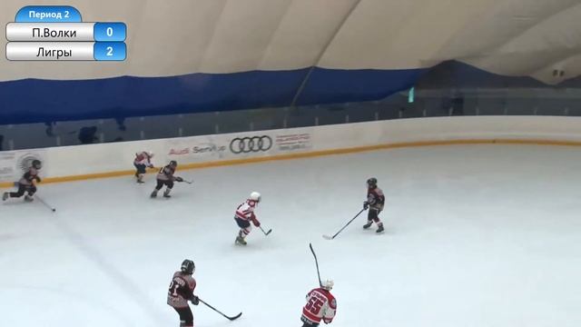 Полярные Волки(10) - Лигры(10) 09.10.2021 г. смотреть онлайн