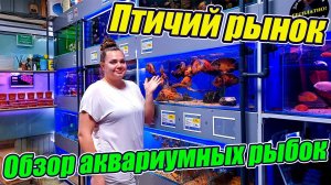 Птичий рынок возродился в новом формате! Всё совмещено, как ....