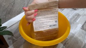 /Комнатные растения/Пересадка Платицериума Бифуркатум-Оленьи рожки/💘🌿