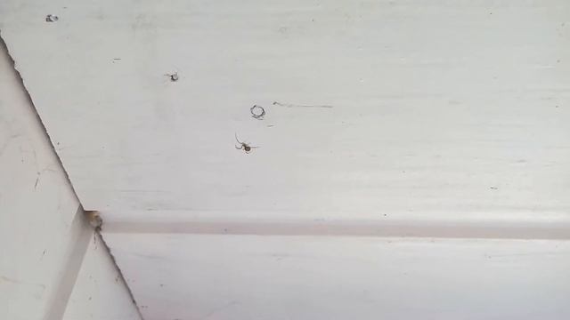 On apprend le français avec Mishel. Учим французский. Пучок