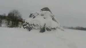 Охоты на лису. Таксы .