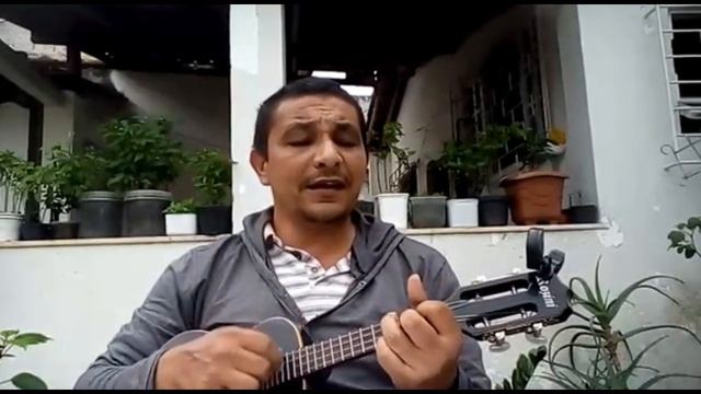 CAVAQUINHO PARA INICIANTES (A OITAVA COR) смотреть онлайн