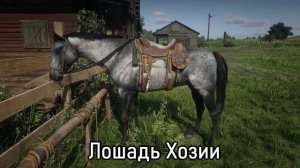 11 лошадей банд в Red Dead Redemption 2