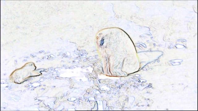 Gerbilho - Epiphone SG Guitar смотреть онлайн