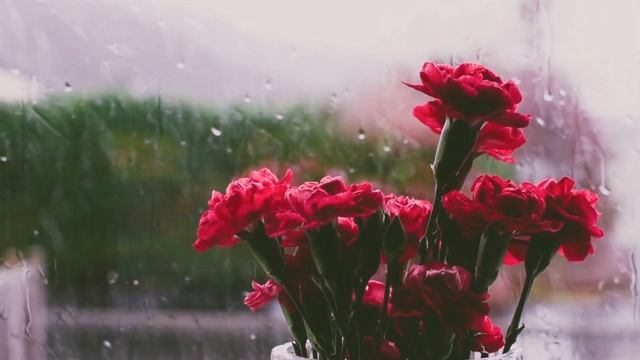 Не беда, если слёзы из глаз /стихи Анжелики Чилиевич/ смотреть онлайн