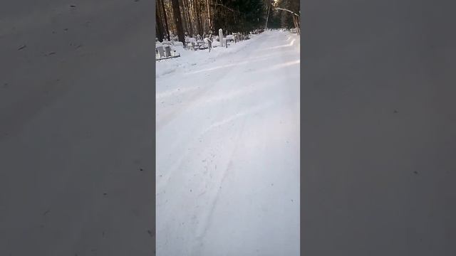 24 января 2024 г. смотреть онлайн