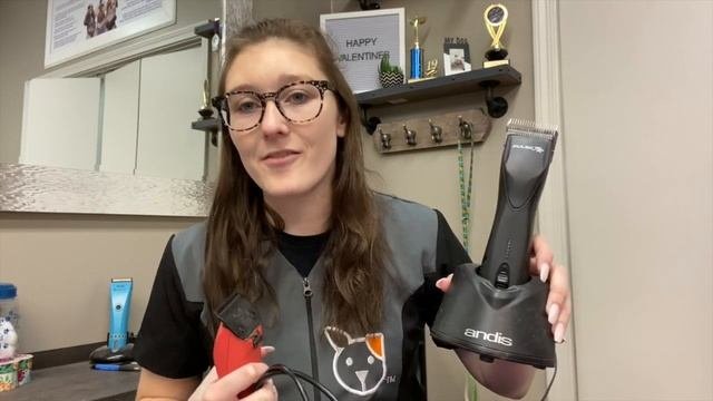 Andis Vs Wahl Cordless Clippers * With Clipper Noise Comparison *