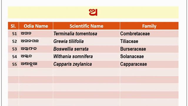 Identification of Plants from Odia Names with Scientific Names-01 смотреть онлайн