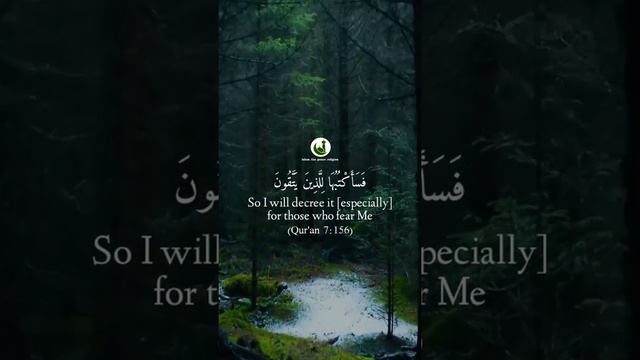 Qur'an 7:156 | Beautiful & Heart Touching Qur'an Recitation | English Translation