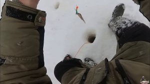 КАКАЯ СНАСТЬ УЛОВИСТЕЙ; НА СУДАКА В ГЛУХОЗИМЬЕ??
Воткинское водохранилище
Мормышка с тюлькой