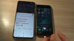 Siri пытается общаться с Google Ассистентом. Apple vs Google