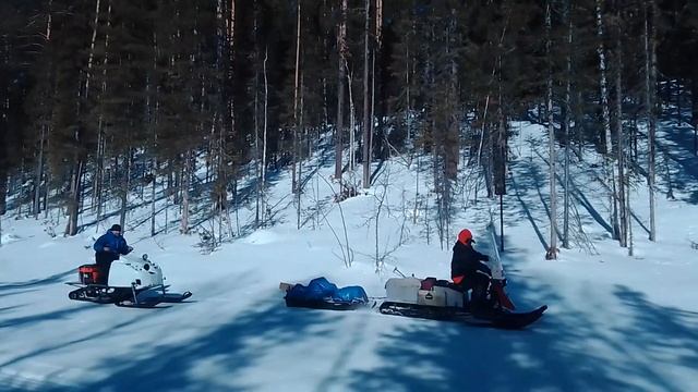 VID 20200405 102815 смотреть онлайн