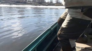 Рыбалка   на  Бузане. Толстолобик на 26 кг
