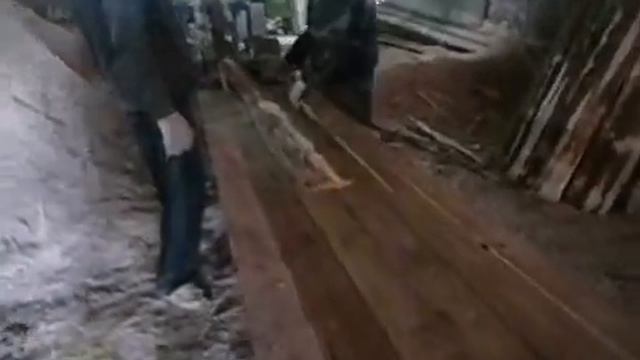 ФЕРМЕРСКАЯ ЛИНИЯ с ГОРБЫЛЬНИКОМ