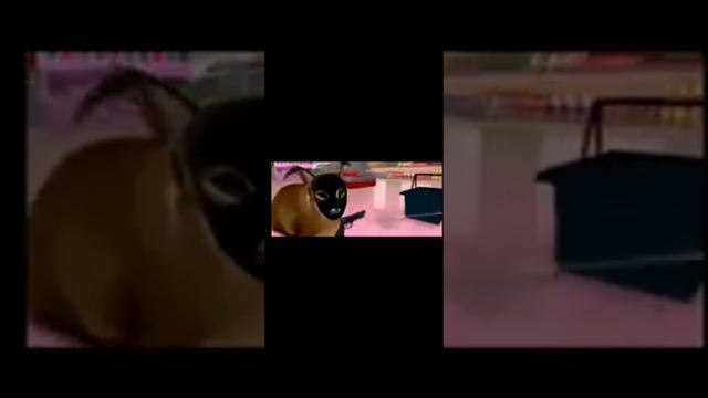 1000006791.mp4 смотреть онлайн