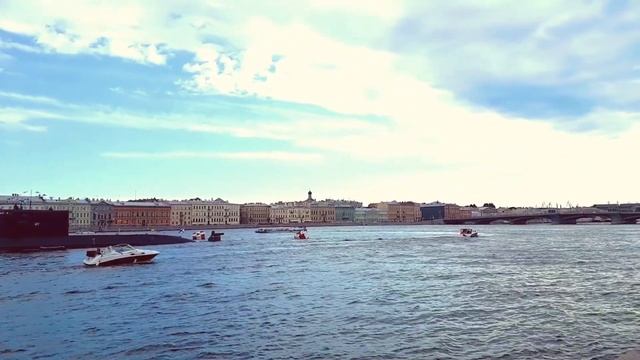 Санкт-Петербург — Гордая белая птица ?Олег Кваша. #видеоVeneraSPB смотреть онлайн