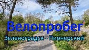 Велопутешествие Зеленоградск - Пионерский 2024 г.