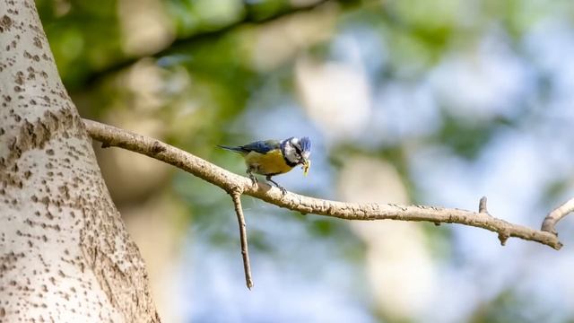 Хочешь быть на моем месте? Хорошо! - мудрая жена сняла фартук, бросила его любовнице мужа и... смотреть онлайн