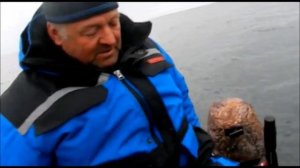 Лодка Риф Скат 400F НДНД Баренцево море Сезон 2019