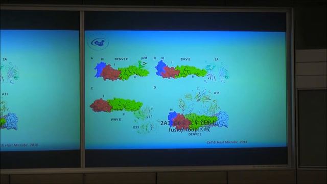 Part6 What is ZIKA virus смотреть онлайн