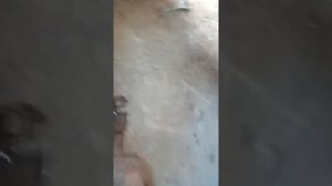 Противовес на мотоблок