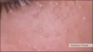 О пользе курдюка