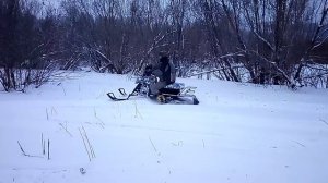Динго 125
