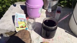 Хлороз на гортензиях, что делать. Для чего марганец гортензиям.