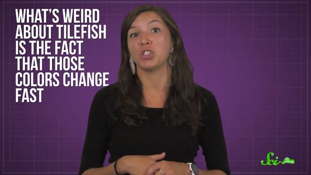 Technicolor Dream Fish: How Tilefish Flash