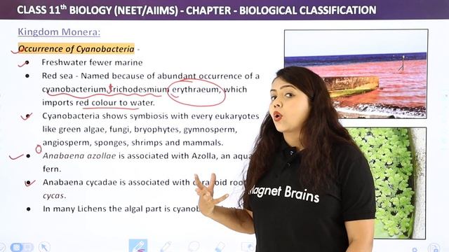 Eubacteria , Cyanobacteria - Biological Classification | Class 11 Biology/NEET