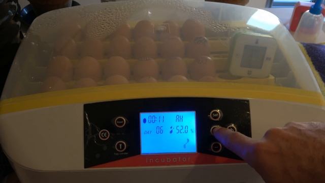 How to use HHD 32 - 56 Automatic egg incubator and solve problems? Egg incubation Part 1【4K】 смотреть онлайн