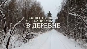 Рождественские каникулы в деревне