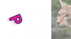 Алфавит для Малышей с Животными. Русский алфавит от А до Я