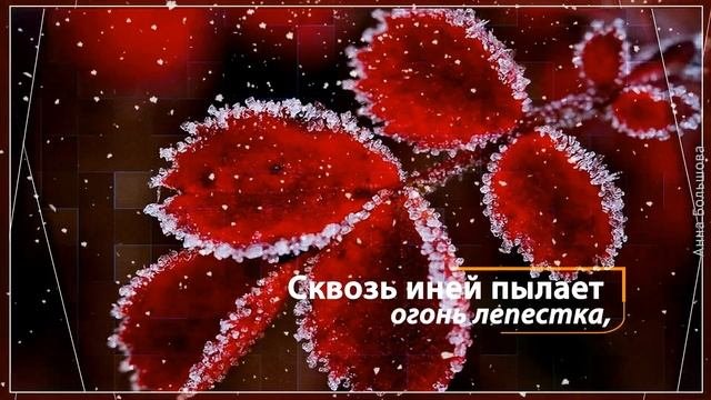 Первый снег. Первые заморозки зима близко. Красивые стихи и невероятно красивая музыка